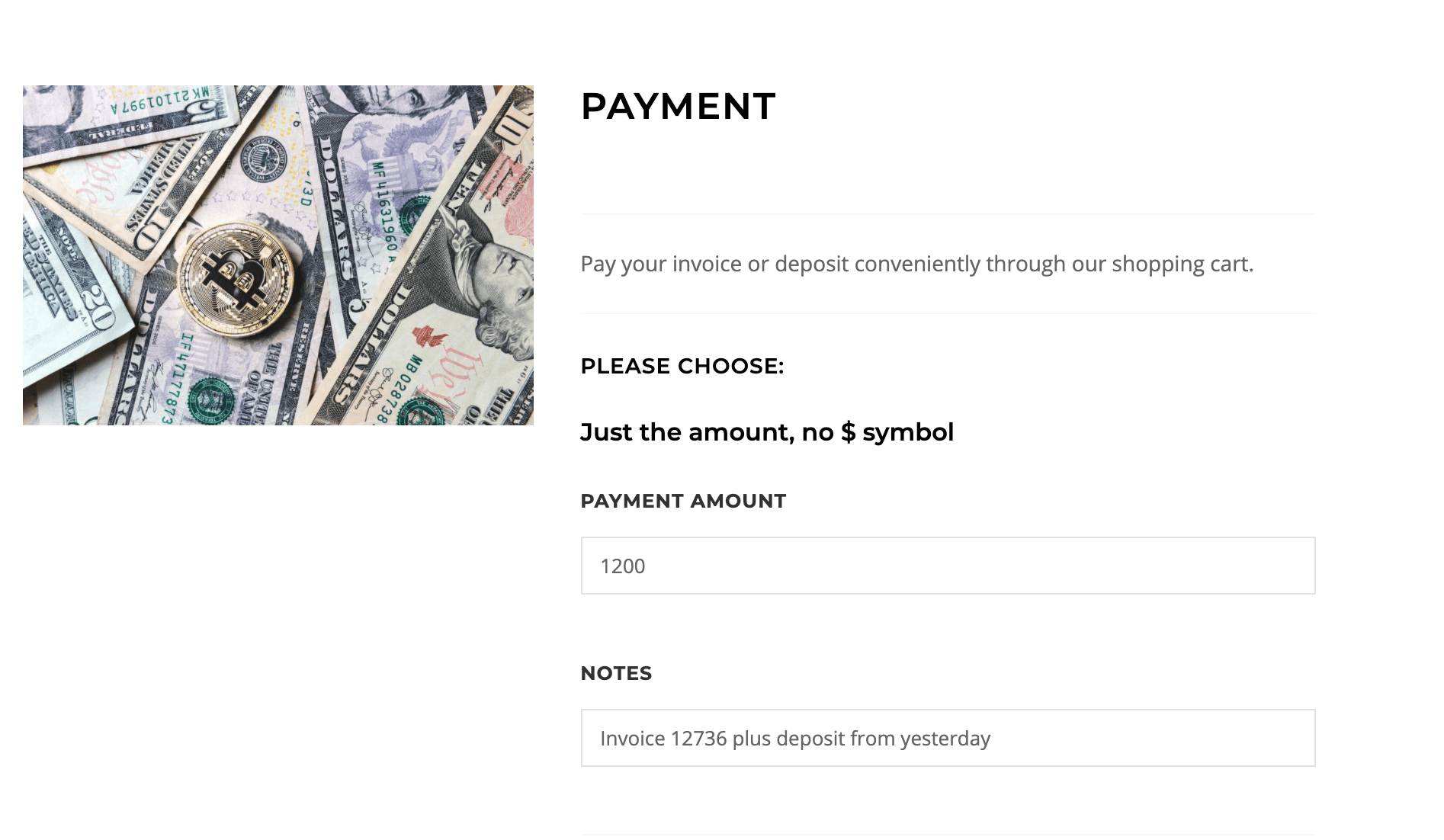 Zen Cart Make a Payment product